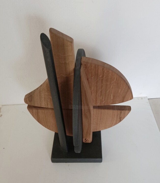Aanvullende afbeeldingen 6