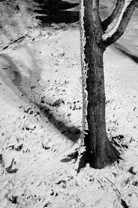 park composition XXI 摄影