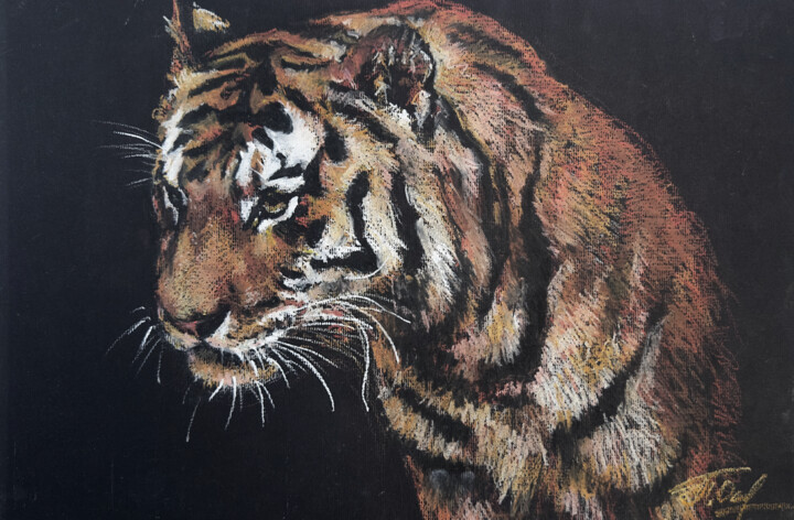 Painting titled "Tiger" by Olga Pravdina, Original Artwork, Pastel