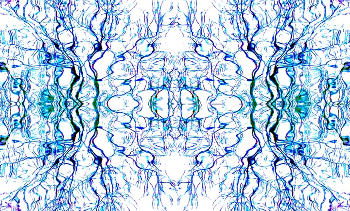 Central Park - Trees Reflected on Iced-In Pond 12b2c3 摄影, 18.1x30 in