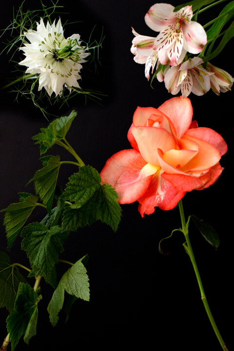 "Conversation. Paris…" başlıklı Fotoğraf Ludovic Sarmento tarafından, Orijinal sanat, Fotoşopsuz fotoğraf
