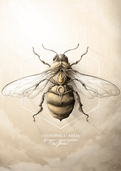 Bee 绘画, 27.6x19.7 in