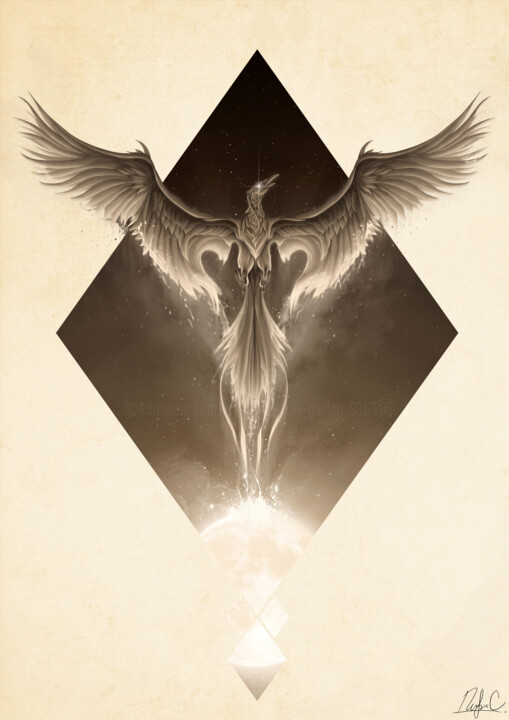 VII. Rebirth (Phoenix) Arts numériques, 27,6x19,7 in