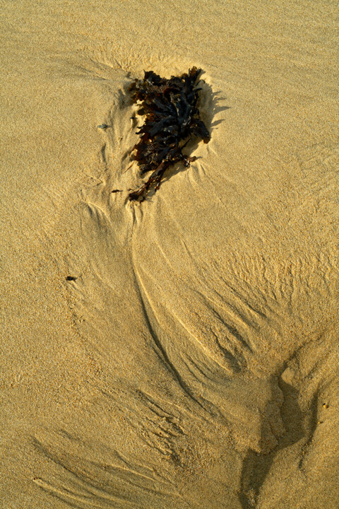 Histoire d'eau et de sable 30 Fotografia, 590,6x393,7 in