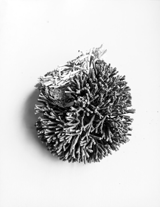 Ephemeral Embrace series-3.2-Limited Edition. 摄影, 36x24 in