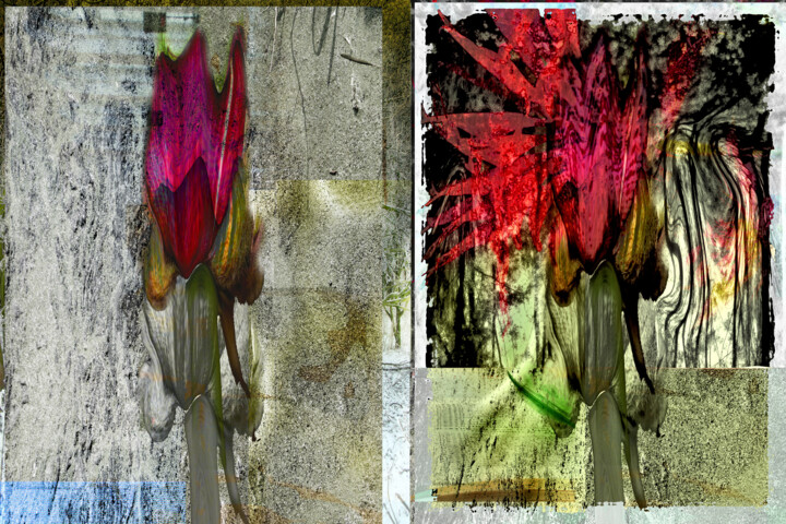 摄影 标题为“Abstract nature I” 由Geertlemmers Lemmers, 原创艺术品, 数码摄影 安装在有机玻璃上
