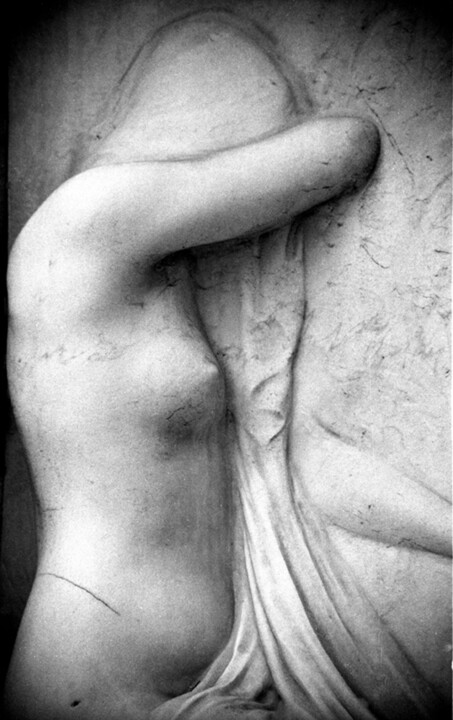 Cimetière 8 摄影