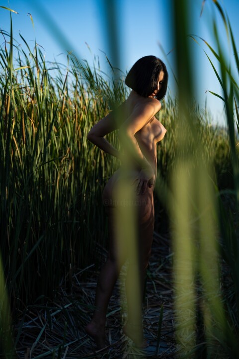 Mother Nature X Fotografie, 27,6x19,7 in