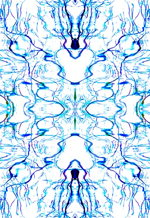 Central Park - Trees Reflected on Iced-In Pond 12b5c 摄影, 40x27.5 in