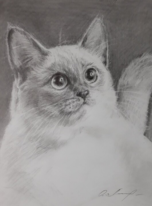 Белый кот 图画, 11.7x8.3 in