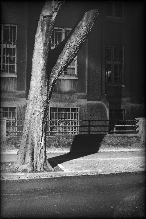 scene XXII (street) Photography