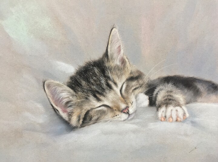 Sleeping kitty 绘画, 9.1x11.8 in