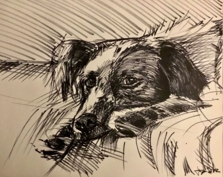Dog3 Kaiser 图画, 11.7x16.5 in