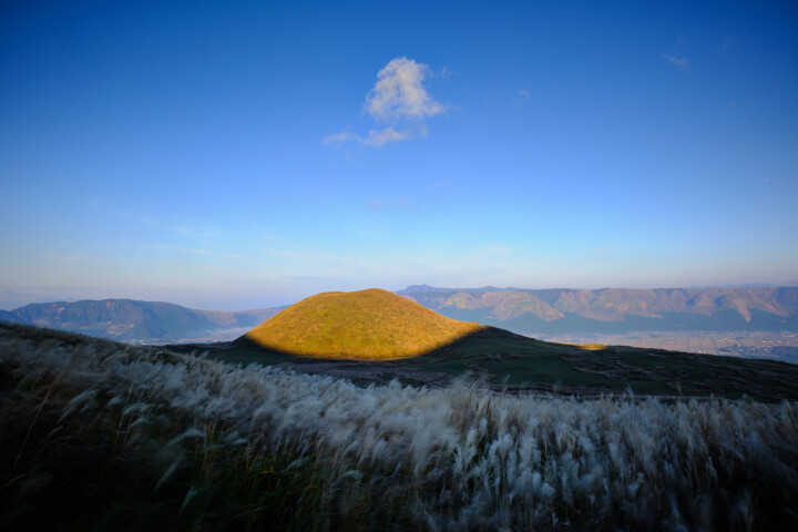 Fotoğraf 