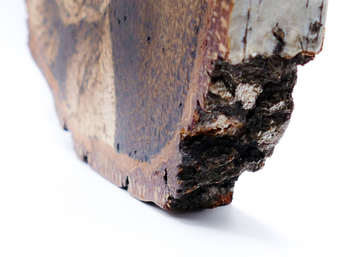 Surface ou texture de l'œuvre