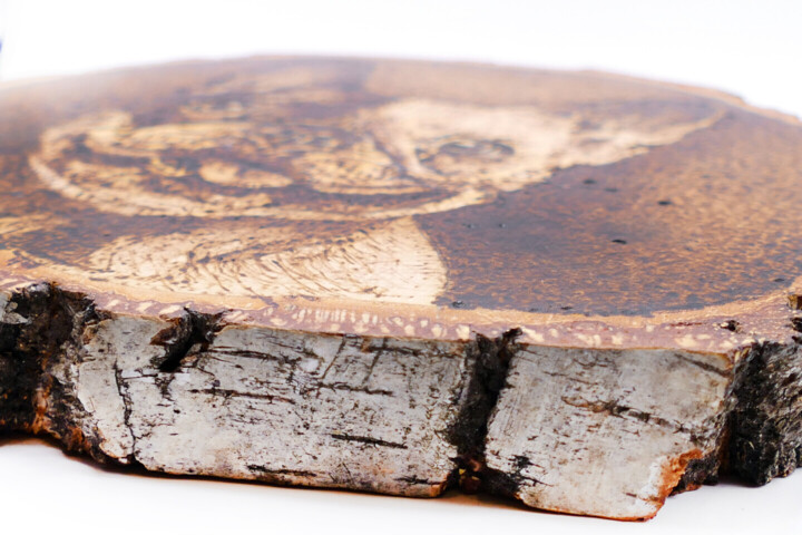 Surface ou texture de l'œuvre