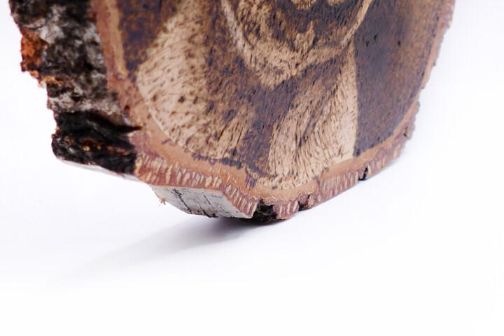 Surface ou texture de l'œuvre