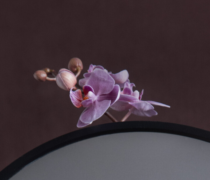 细节