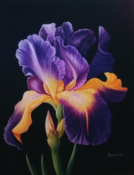 Irys. Zycie w ciemności 绘画, 31.5x23.6 in