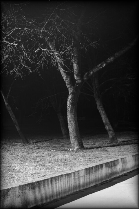 scene XXX (park) 摄影