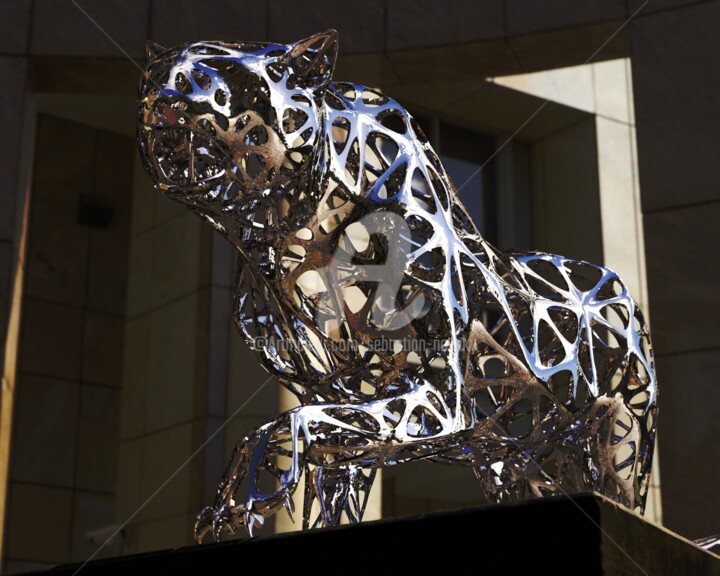 雕塑 标题为“Leopard #1 Mirror” 由Sebastian Novaky, 原创艺术品, 不锈钢