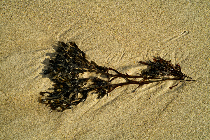 Histoire d'eau et de sable 32. Fotografia, 393,7x590,6 in