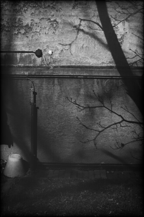 scene XXXIII (street) 摄影