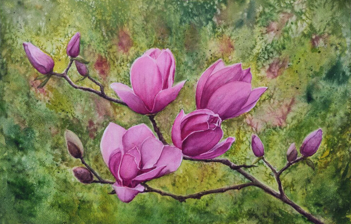 Magnolia branch - 02 绘画, 15x22.1 in