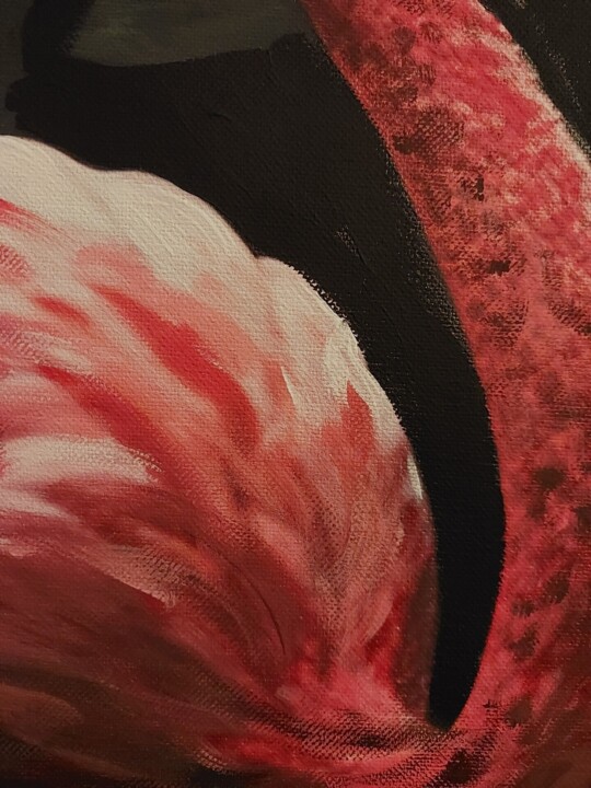 Additional views 5