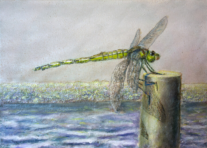 绘画,  19.7x27.6 in 