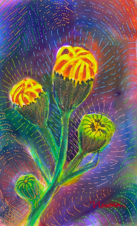 Dandelion 数字艺术