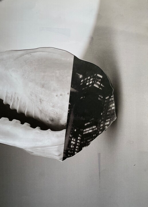 collage 79 Collages, 27,6x19,7 in