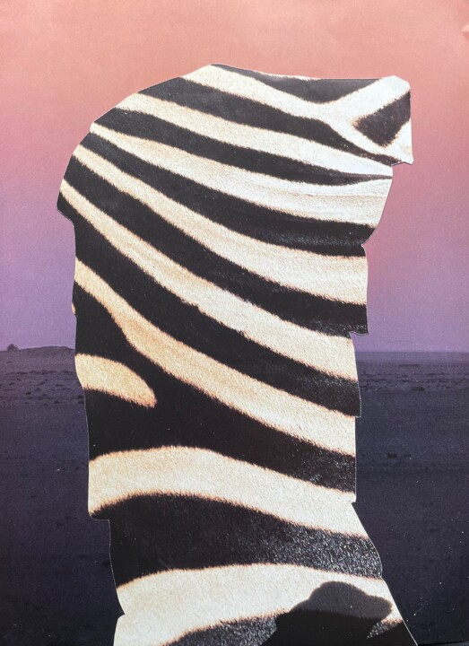 Collages,  27.6x19.7 in 