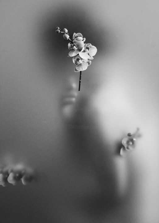 Fading Into Eternity - No. 2 Fotoğraf, 27,6x19,7 in