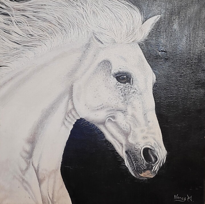 Fougue, cheval de Carmague 绘画, 20x20 in