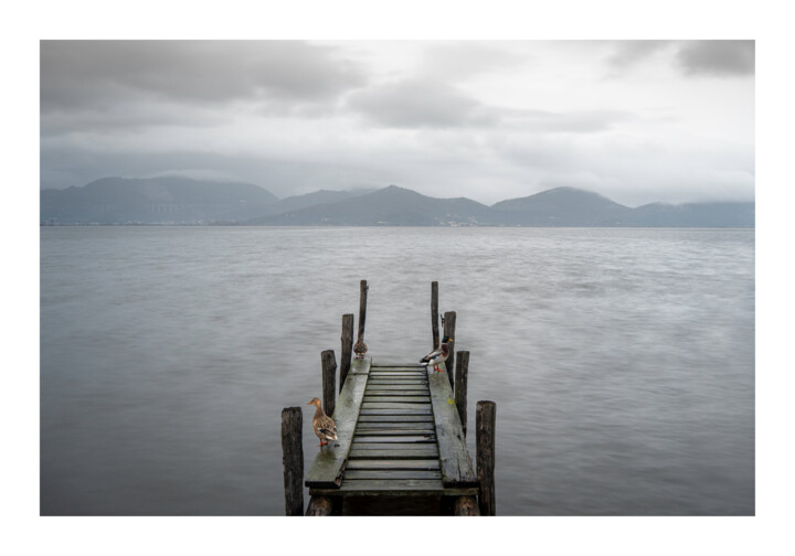 Lago di Massaciuccoli #1 Fotoğraf, 13,8x19,7 in