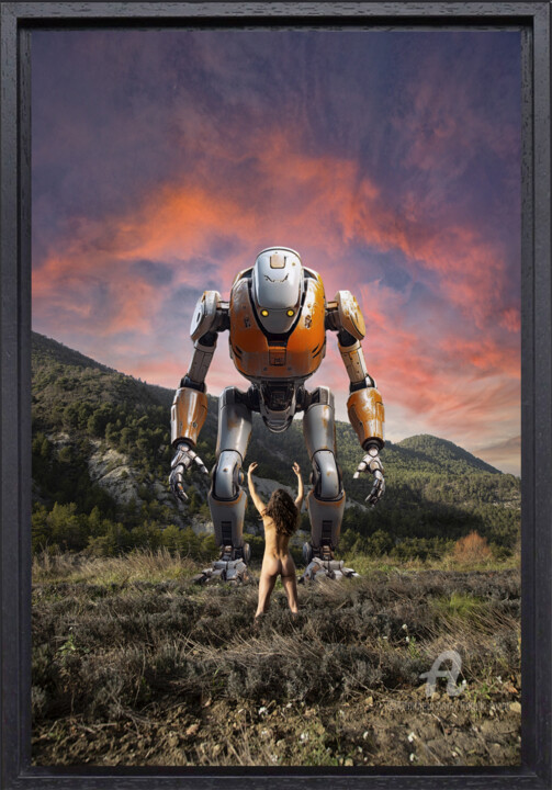 Digital Arts titled "Robot 29" by Franck Rozet, Original Artwork, Digital Photography Mounted on Aluminium