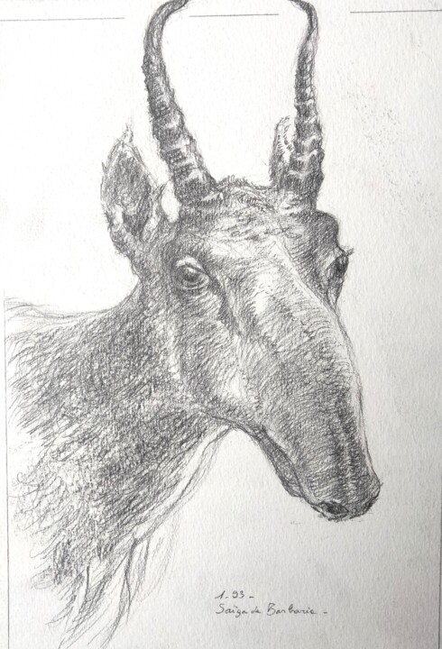 Muséum12 图画, 11.8x15.8 in