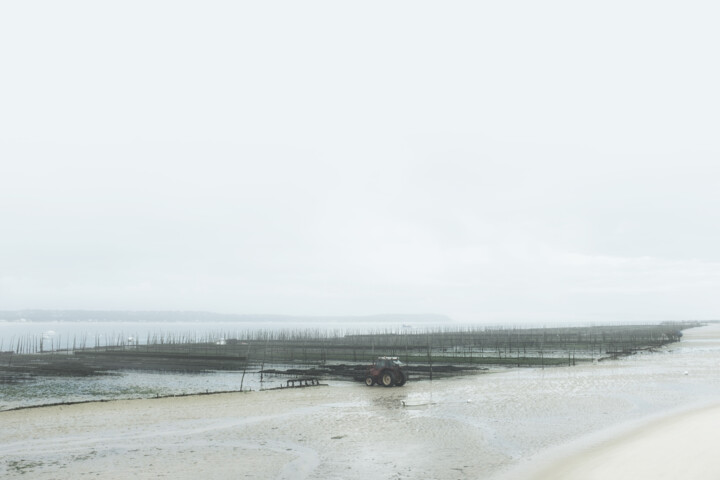 Brume 1 Fotografie