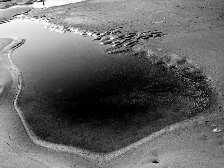 Quicksand ( Swamp series ) Fotoğraf