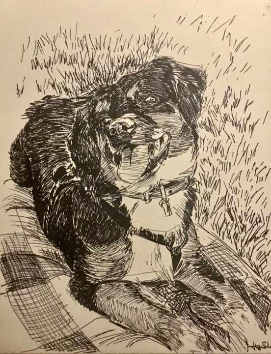 Dog5 Draco 图画, 25.6x19.7 in