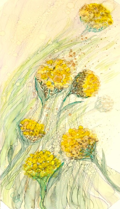 Drawing titled "Tansy" by Elena Gozunova, Original Artwork, Ink
