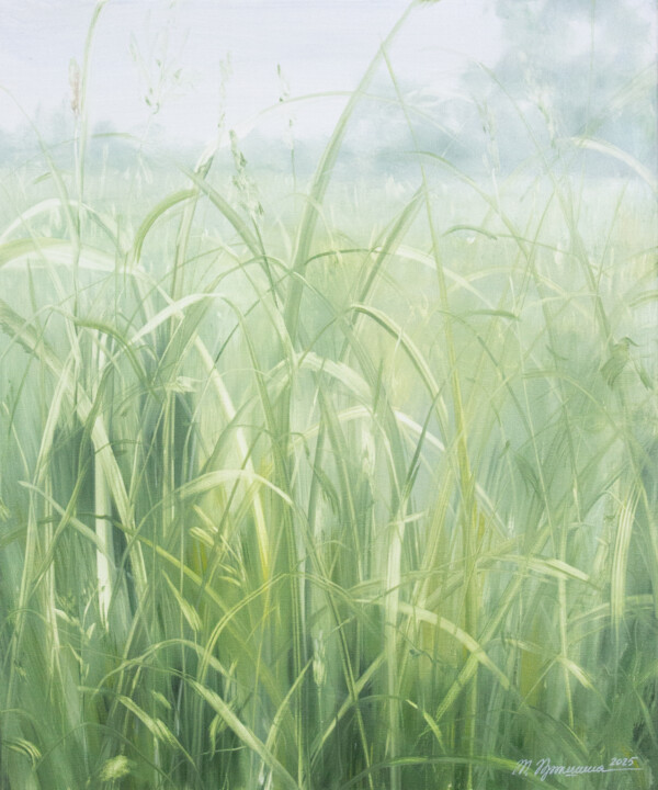 wild iris leaves Картина, 23,6x19,7 in