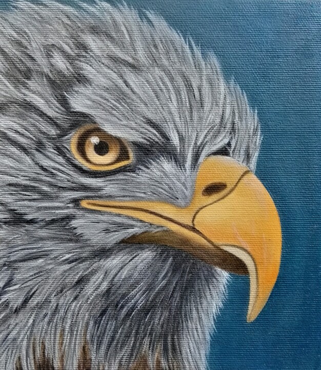 Peinture intitulée "Pygargue huile sur…" par Steivan Loundou, Œuvre d'art originale, Huile Monté sur Carton