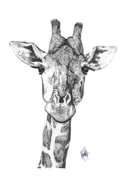 GIRAFA 图画, 16.5x11.4 in