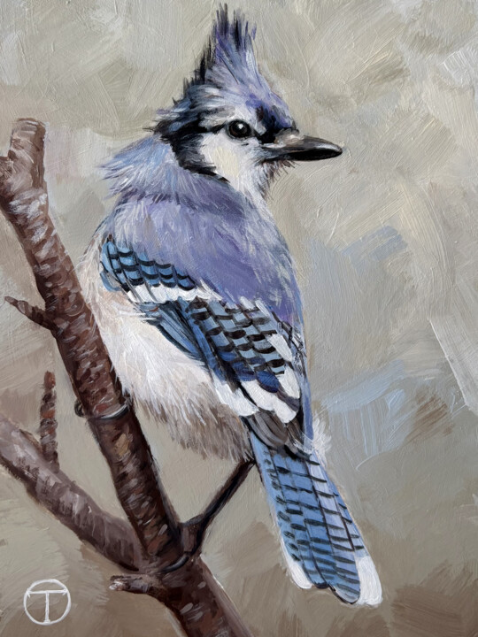 Blue jay 2 绘画, 7.9x5.9 in