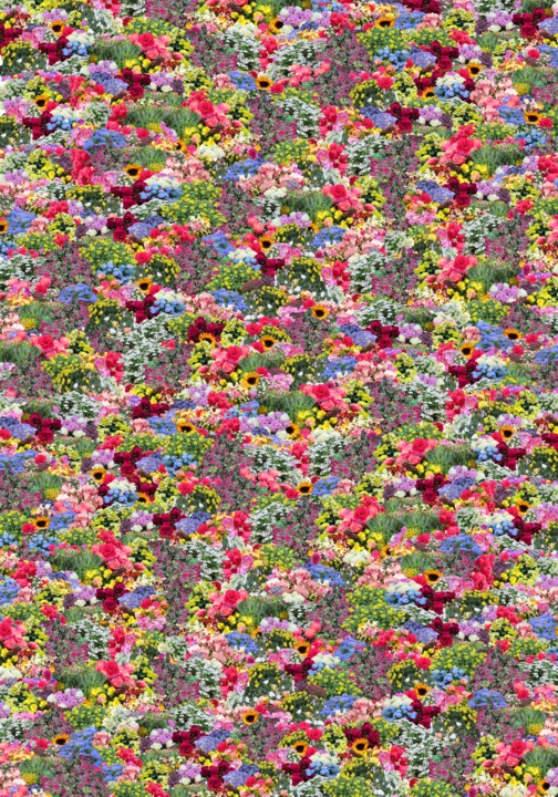 Tapis de fleurs 数字艺术
