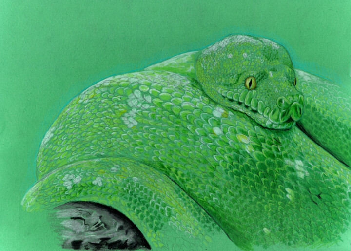Emerald Serpent: The Watchful Coil 图画, 13x18.9 in