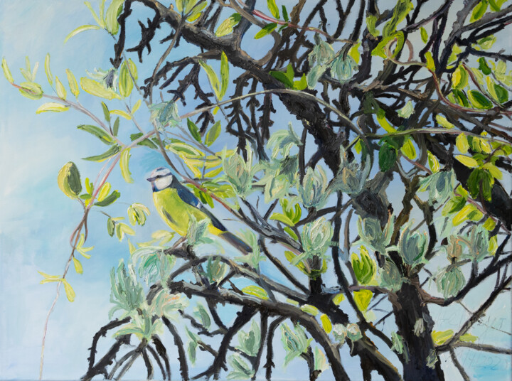 Blaumeise 绘画, 23.6x31.5 in