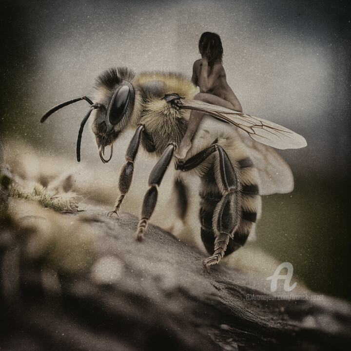 Insecte 7 数字艺术, 39.4x39.4 in